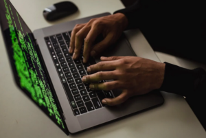 web developer